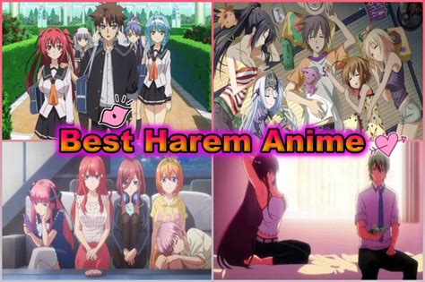 best hentai series|Harem